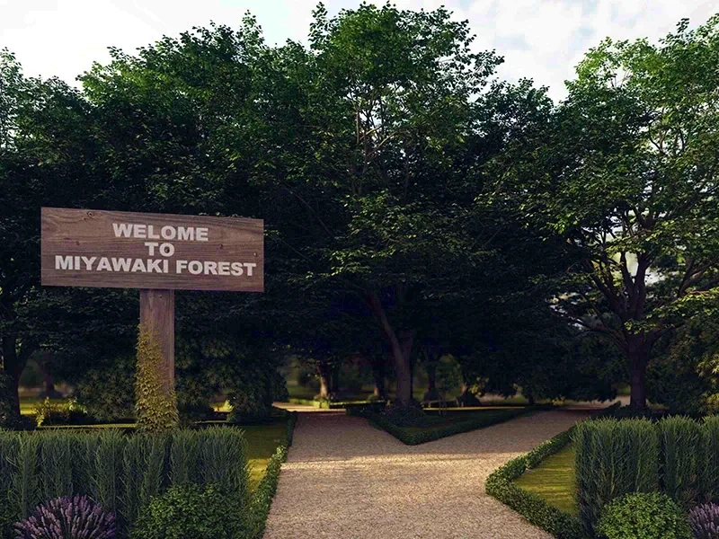 Miyawaki Forest