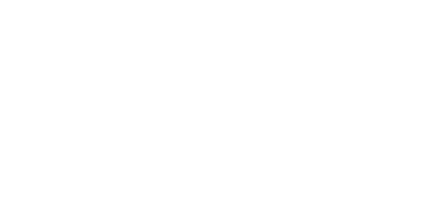 ALLY PROPERTIES