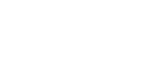 XPERT ASSOCIATES
