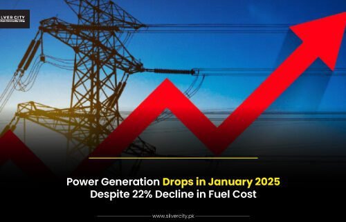 Power Generation Drops in January 2025 Despite 22% Decline in Fuel Cost