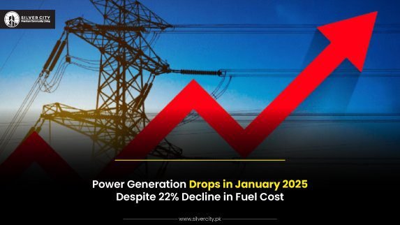 Power-Generation-Drops-in-January-2025-Despite-22%-Decline-in-Fuel-Cost